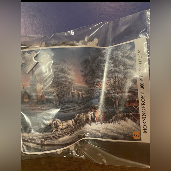 Other - Morning Frost 300 pc puzzle